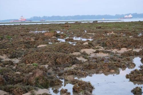 Moving Earth, Crossing Water, Eating Soil, Sensing Maps, Seeing Spirits: An Artist-Led Workshop 