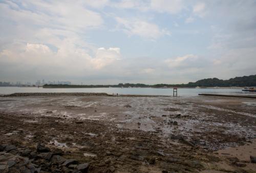 Intertidal Walking Trail with Zarina Muhammad and Marcus Ng